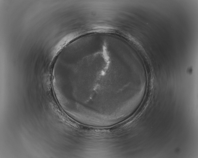 X0000115671362200912031346