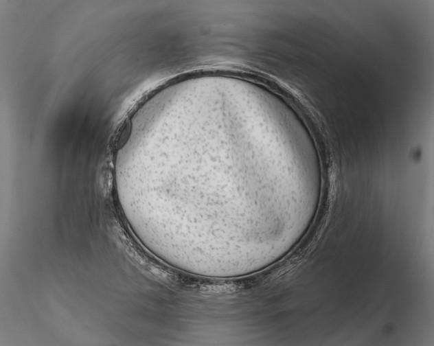 X0000115671363200912031346