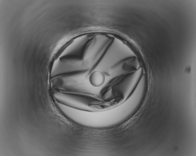 X0000115671365200912031346