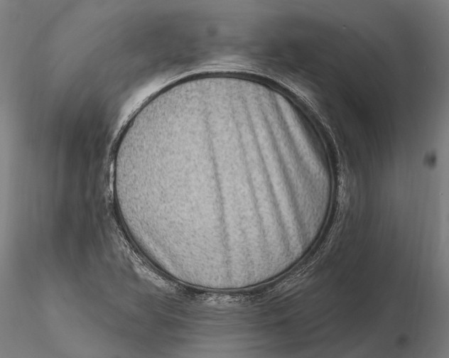 X0000115671366200912031346