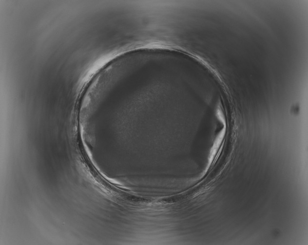 X0000115671367200912031346