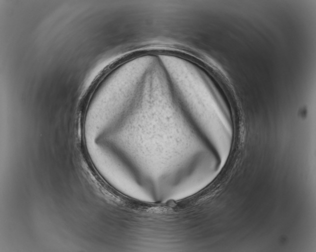 X0000115671368200912031346