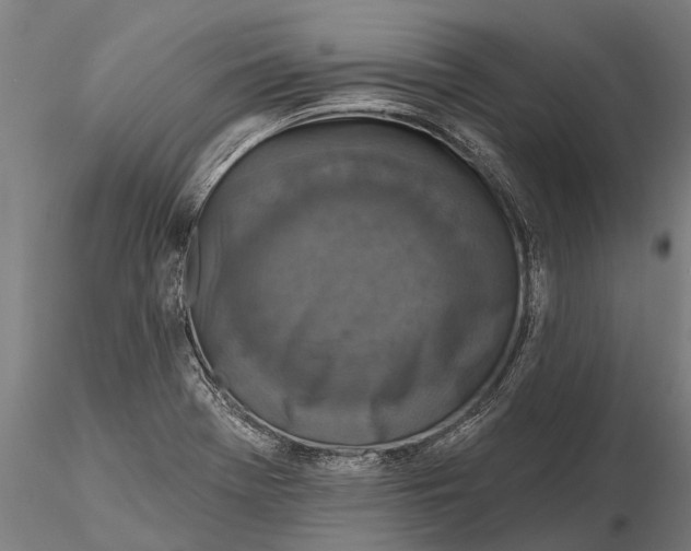 X0000115671369200912031346