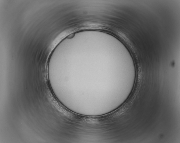 X0000115671370200912031346