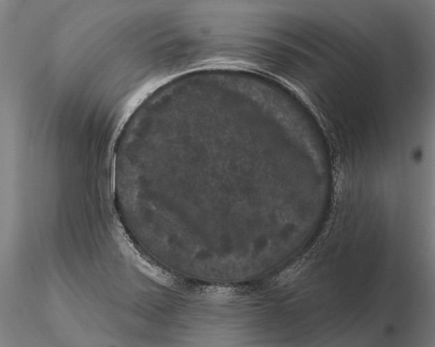 X0000115671371200912031346