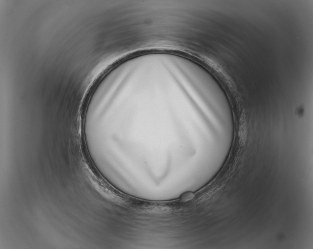 X0000115671372200912031346