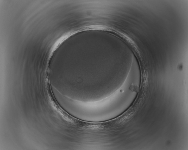 X0000115671373200912031346