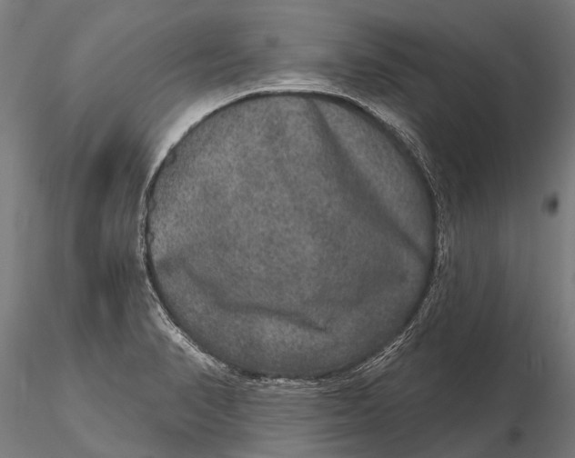 X0000115671374200912031346