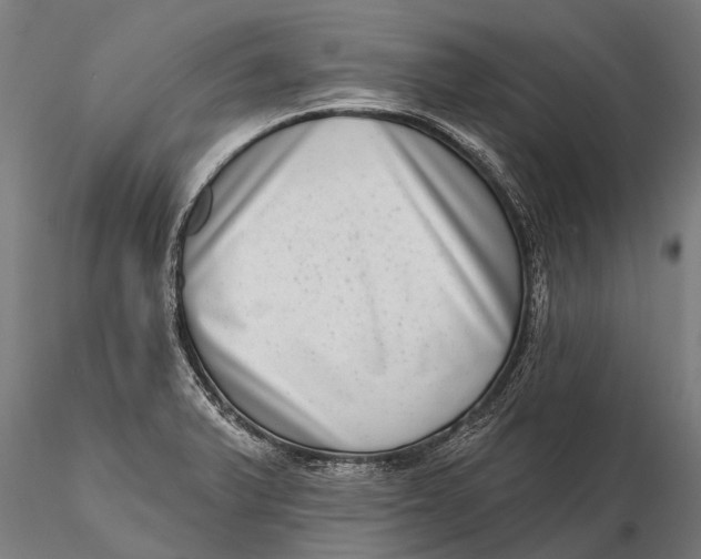 X0000115671375200912031346