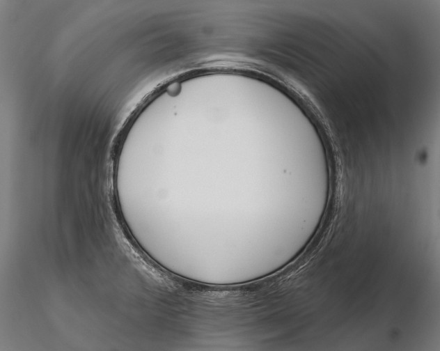 X0000115671376200912031346