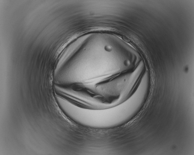 X0000115671377200912031346