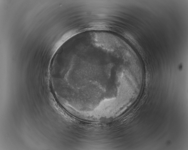 X0000115671378200912031346