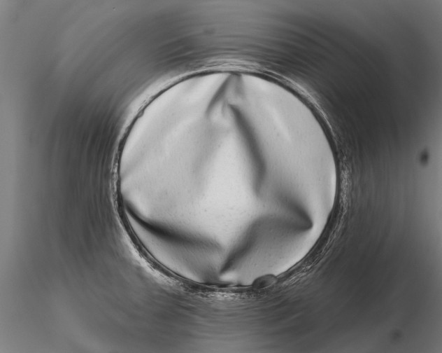 X0000115671379200912031346