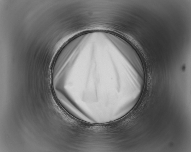 X0000115671380200912031346