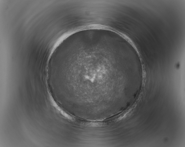 X0000115671381200912031345