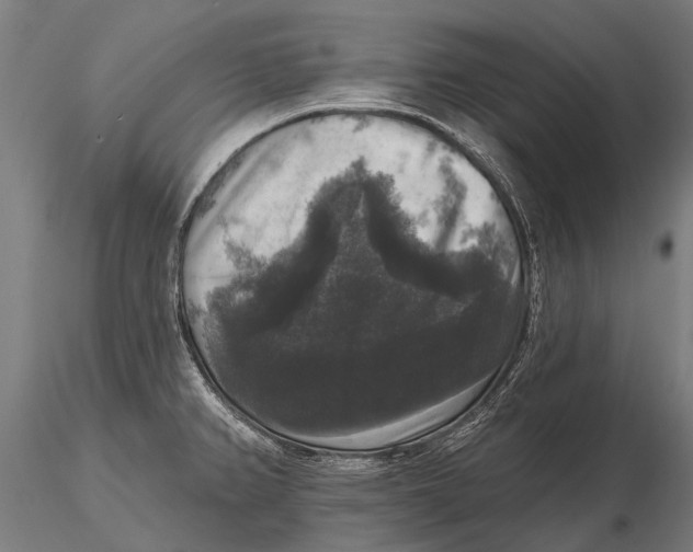 X0000115671382200912031345