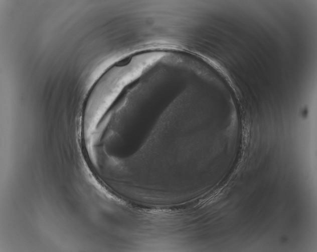 X0000115671383200912031345