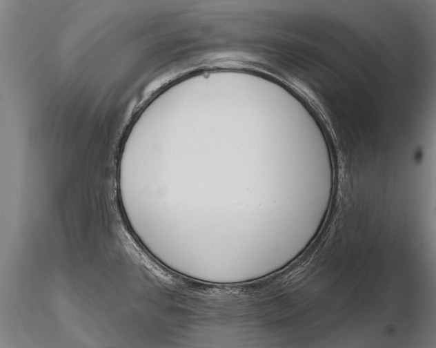 X0000115671384200912031345