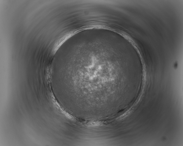 X0000115671385200912031345