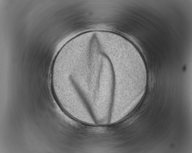 X0000115671387200912031345