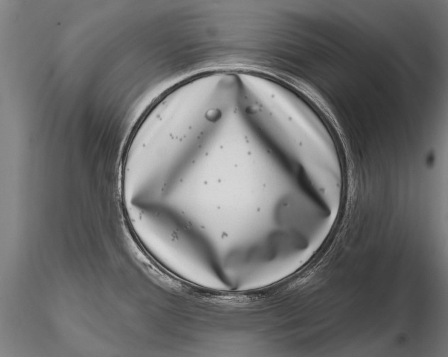 X0000115671388200912031345