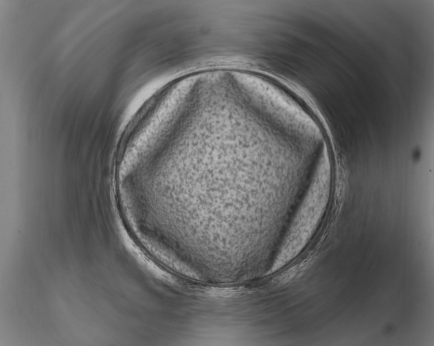 X0000115671389200912031345