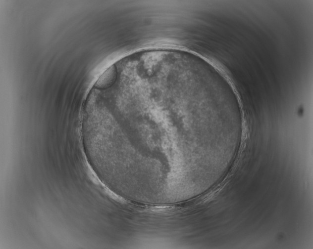 X0000115671390200912031345