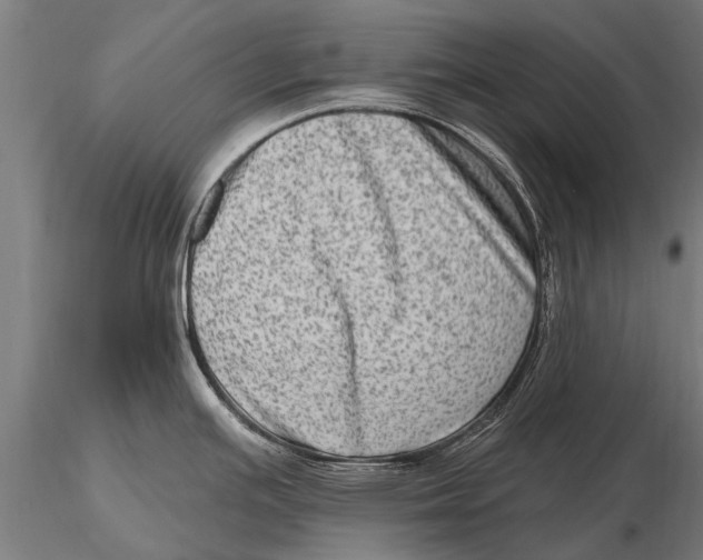 X0000115671391200912031345