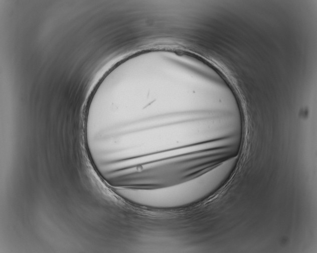 X0000115671392200912031345