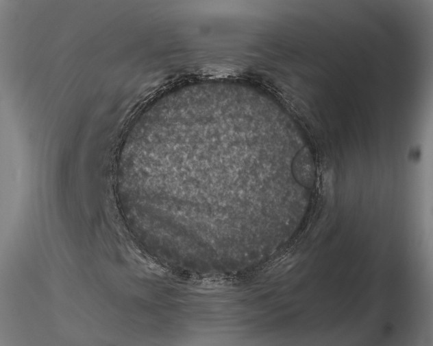 X0000115671393200912031345