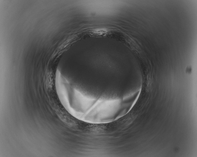 X0000115671394200912031345