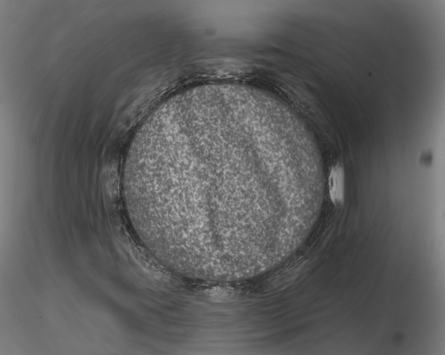 X0000115671395200912031345