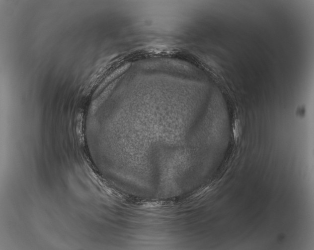 X0000115671396200912031345