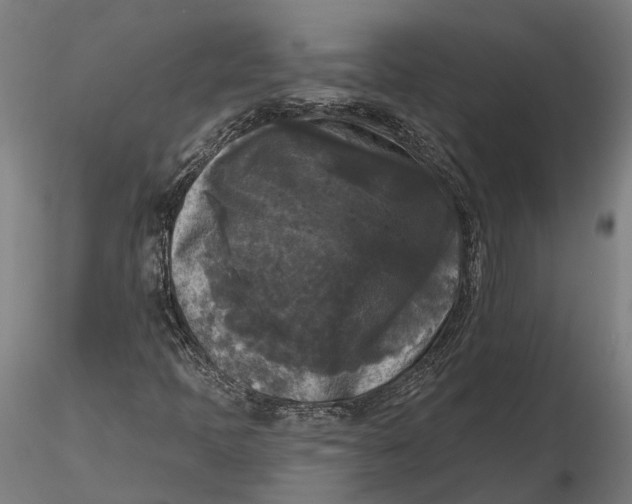 X0000115671397200912031345