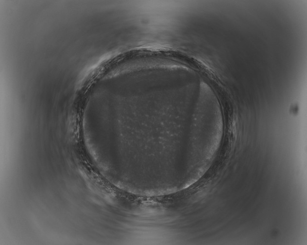 X0000115671398200912031345