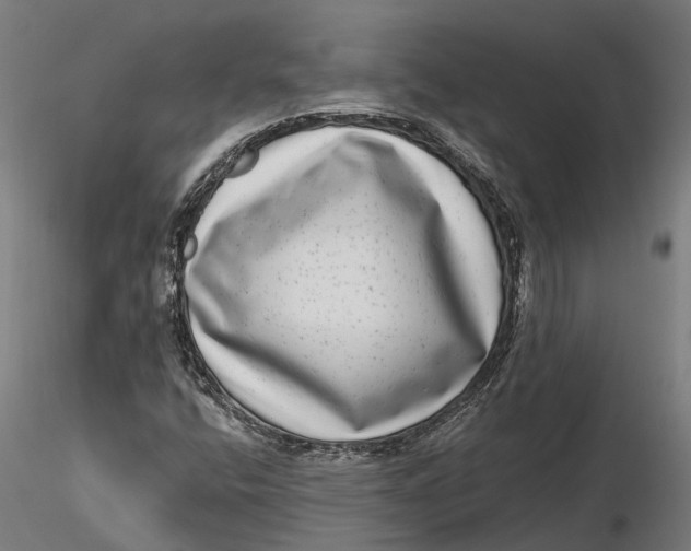 X0000115671400200912031345