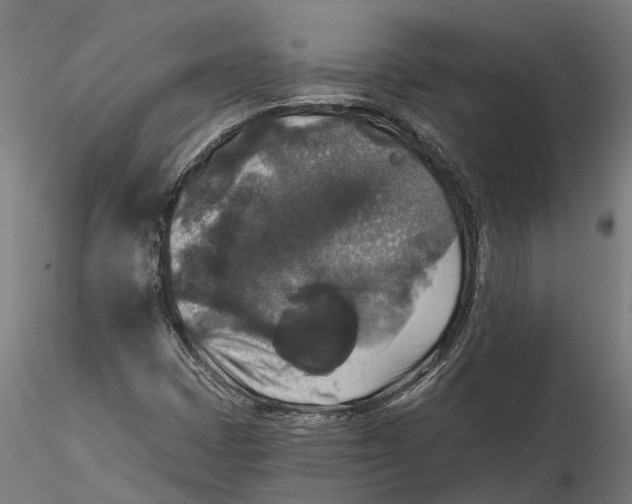 X0000115671401200912031345