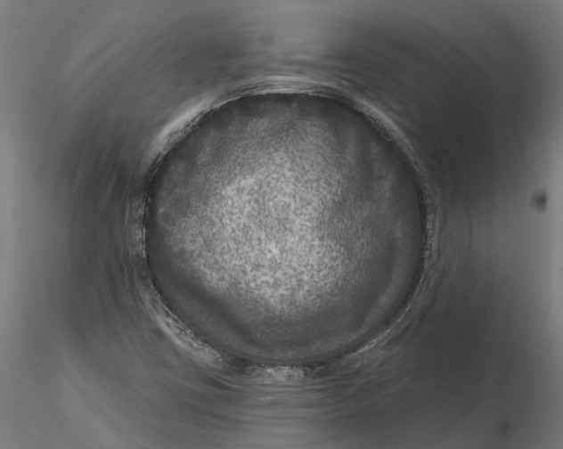 X0000115671403200912031345