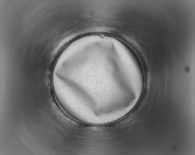 X0000115671404200912031345