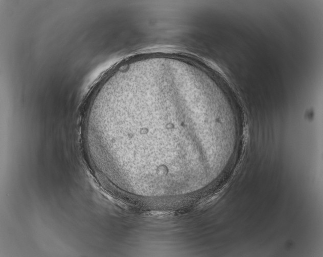 X0000115671406200912031345