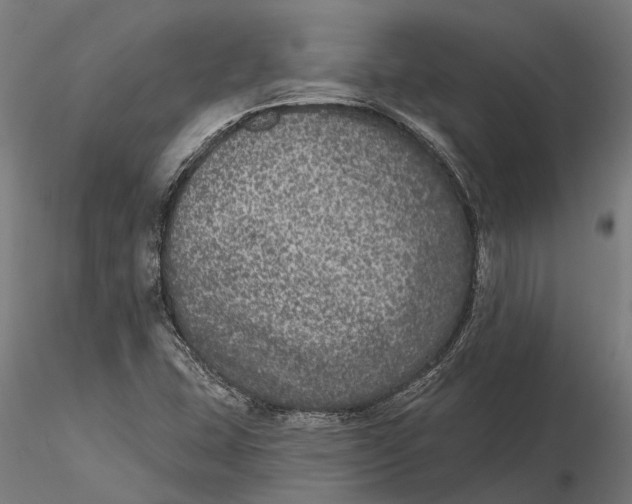 X0000115671407200912031345