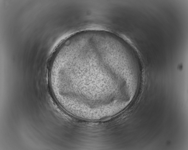 X0000115671408200912031345