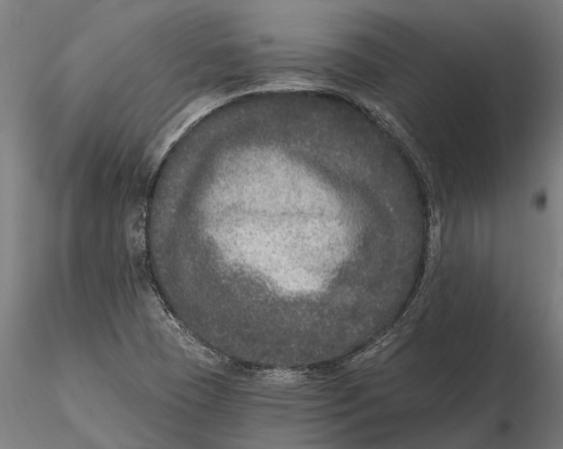 X0000115671409200912031345