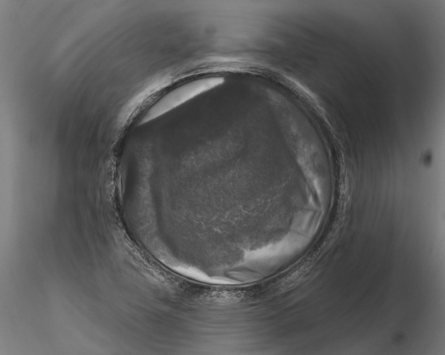 X0000115671411200912031345