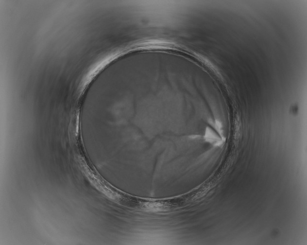 X0000115671413200912031345