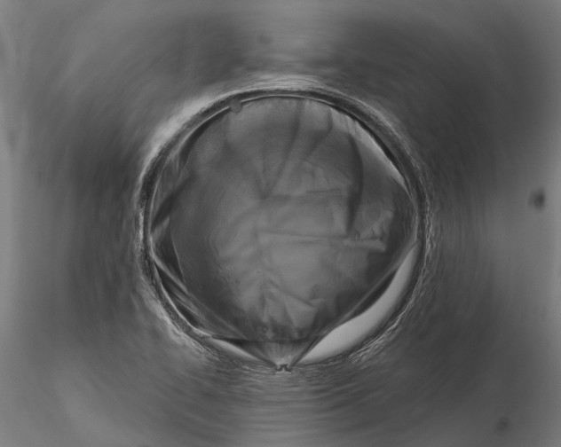 X0000115671414200912031345