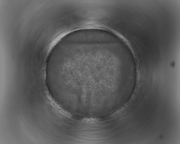 X0000115671415200912031345