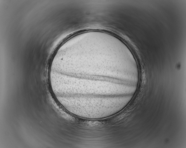 X0000115671416200912031345