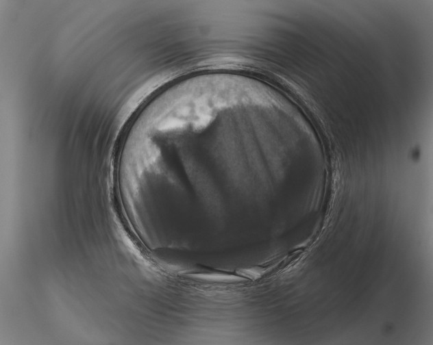 X0000115671418200912031345