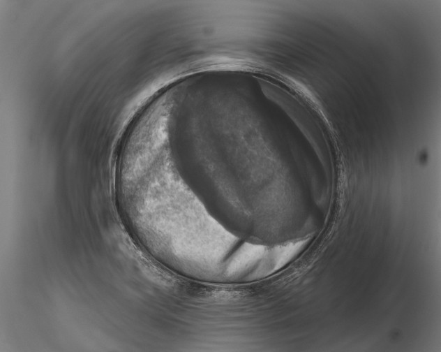 X0000115671419200912031345